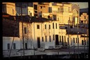 Evening Light